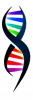 gallery/dna-helix-clipart-1 v2